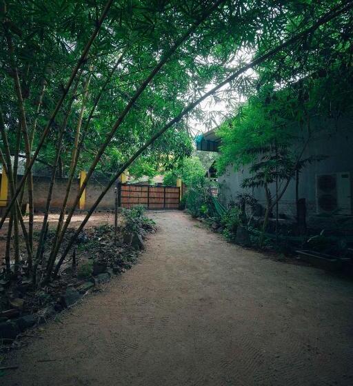 The Last Stop Backpackers Hostel