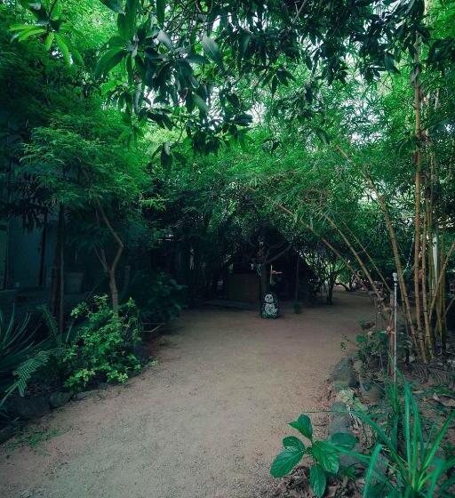 The Last Stop Backpackers Hostel