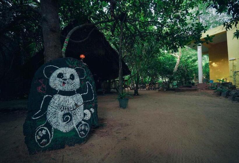 The Last Stop Backpackers Hostel