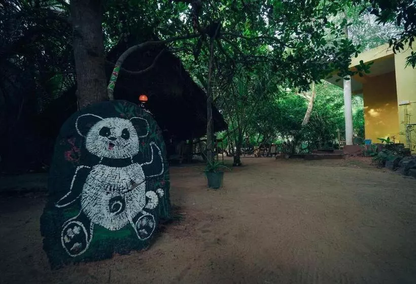 The Last Stop Backpackers Hostel