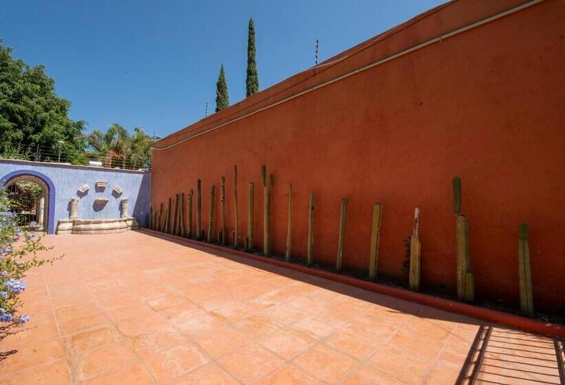 Villa Borghese Hotel Boutique   Adults Only