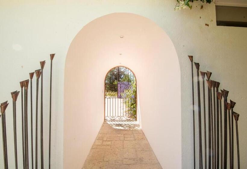 Villa Borghese Hotel Boutique   Adults Only