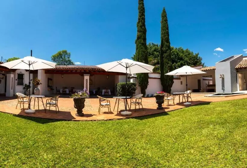 Villa Borghese Hotel Boutique   Adults Only