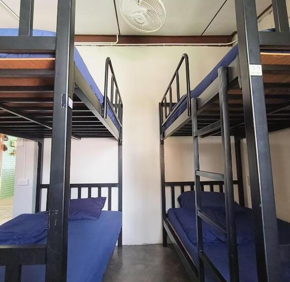 호스텔 Roadrann Skate House