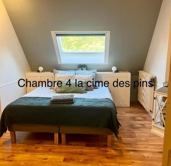 Bed and Breakfast Chambres D Hôtes, La Cime Des Pins