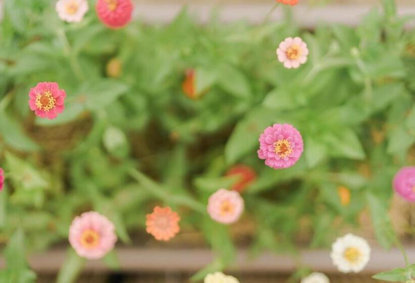 בית מלון כפרי Casa Saba Ospitalità Con Vista