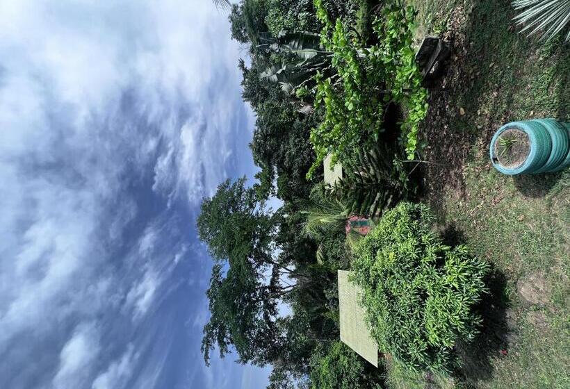 هتل کپسول Green Mountain