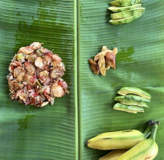 هتل کپسول Green Mountain