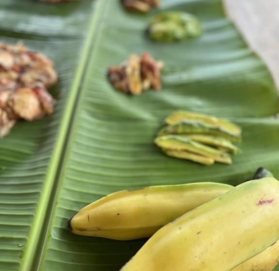 هتل کپسول Green Mountain