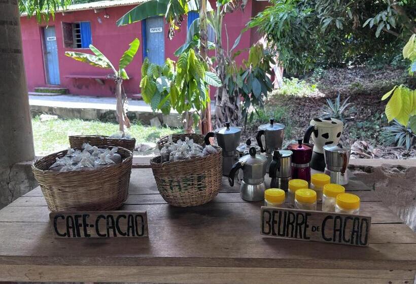 هتل کپسول Green Mountain