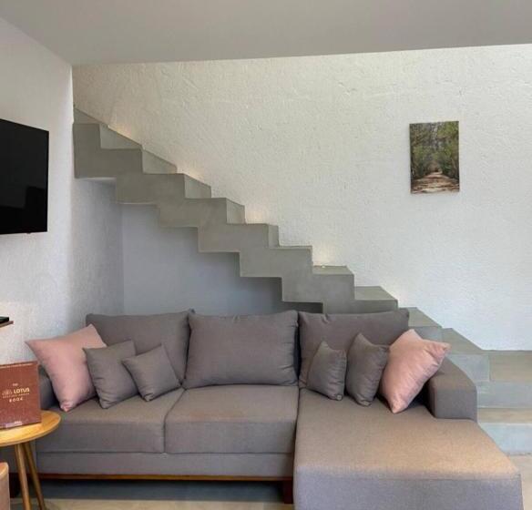 호텔 Lotus Patacho