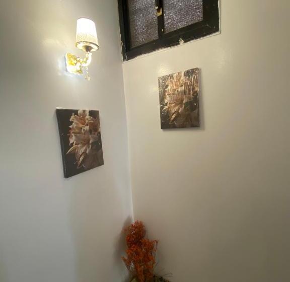 استديو رقم 1