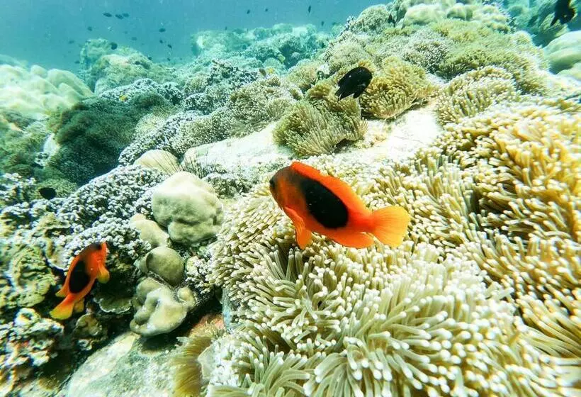 Retkeilymaja Serene Resort Koh Lipe