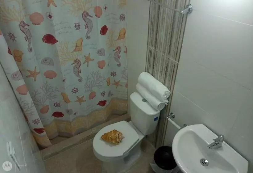 Apartamentos Nashi