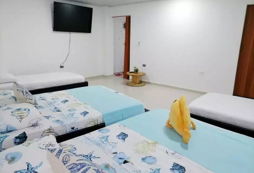 Apartamentos Nashi