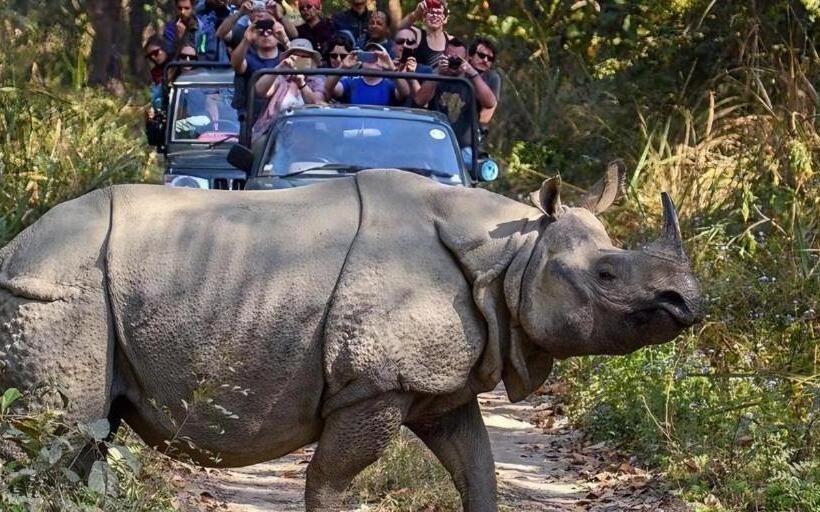 هتل Nepal Inn Sauraha Relax And Refresh A Perfect Family Getaway