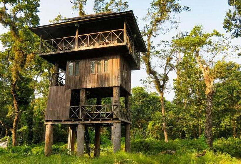 هتل Nepal Inn Sauraha Relax And Refresh A Perfect Family Getaway