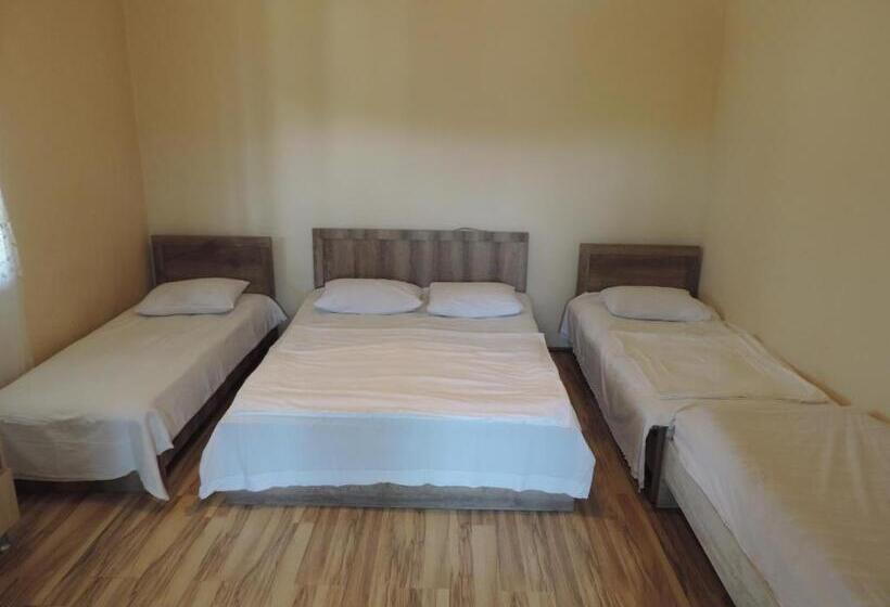 پانسیون Ok House!