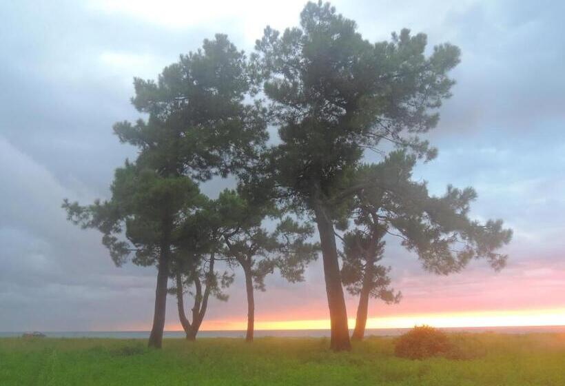 پانسیون Ok House!