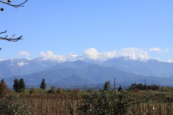 پانسیون Ok House!