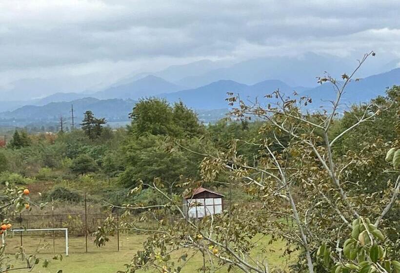 پانسیون Ok House!