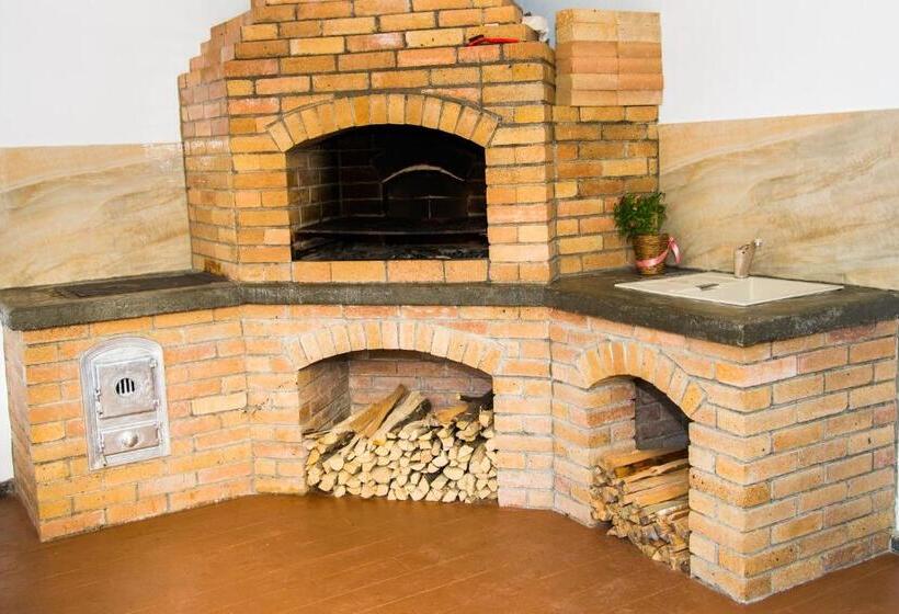 פנסיון Poiana Transilvaniei