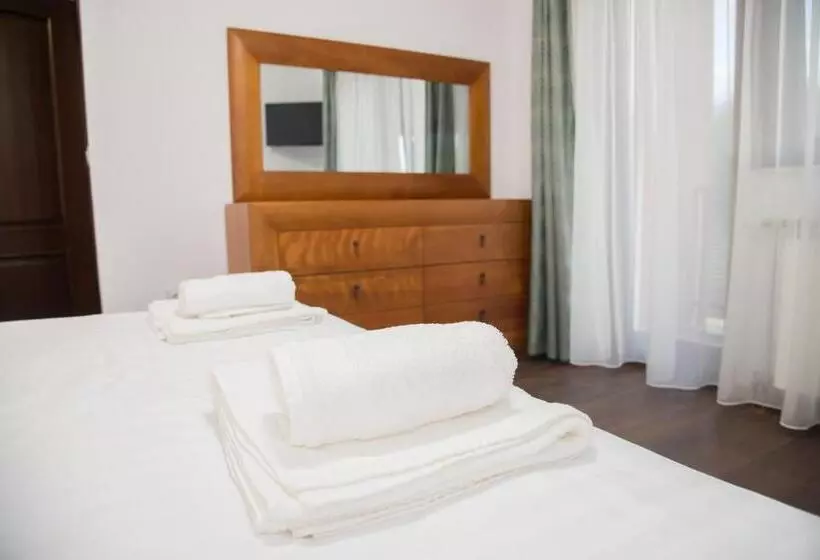 ペンション Poiana Transilvaniei