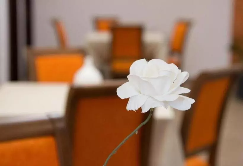 ペンション Poiana Transilvaniei