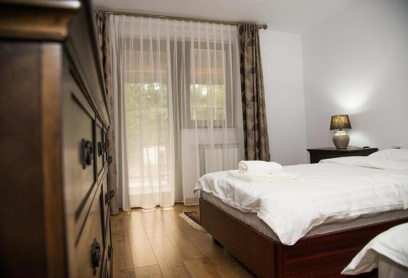 פנסיון Poiana Transilvaniei