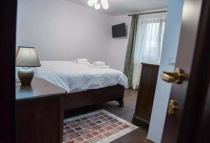 ペンション Poiana Transilvaniei