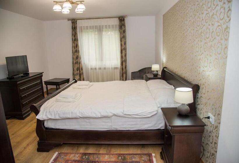 פנסיון Poiana Transilvaniei