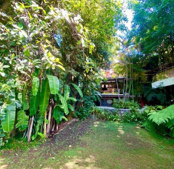 膳宿费 Preciosa Suite Con Vegetacion Interior Y Exterior