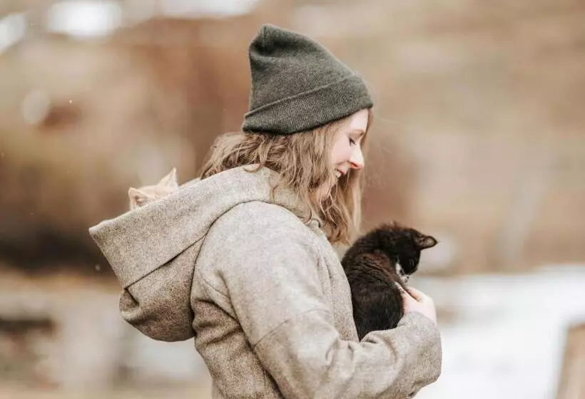 ホテル Adelwöhrer   Am Hof