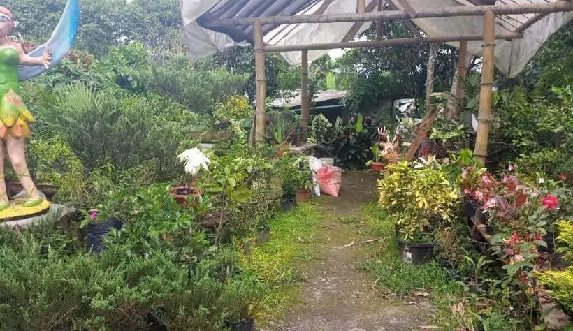 هتل Jardin Botanico Bellavista