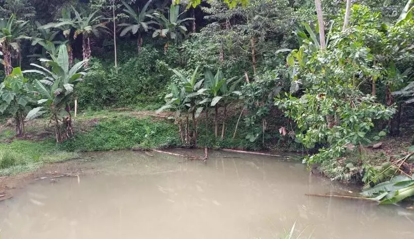 هتل Jardin Botanico Bellavista