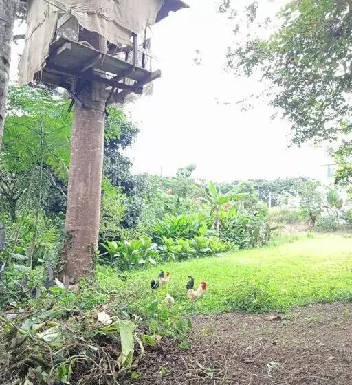 هتل Jardin Botanico Bellavista