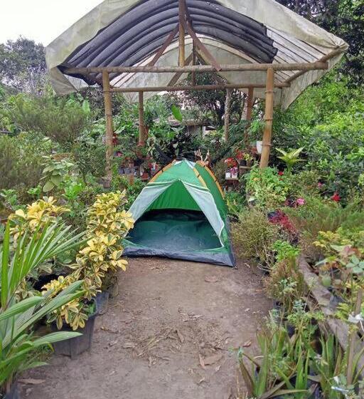 Hotel Jardin Botanico Bellavista