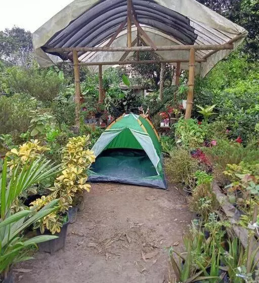 هتل Jardin Botanico Bellavista