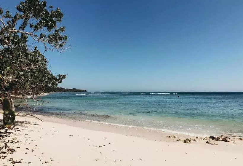 Jawa Jiwa G Land Resort