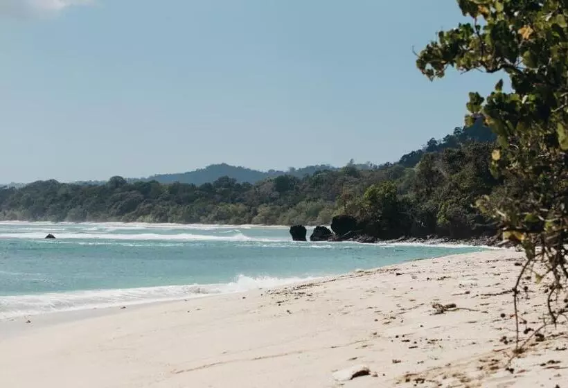Jawa Jiwa G Land Resort