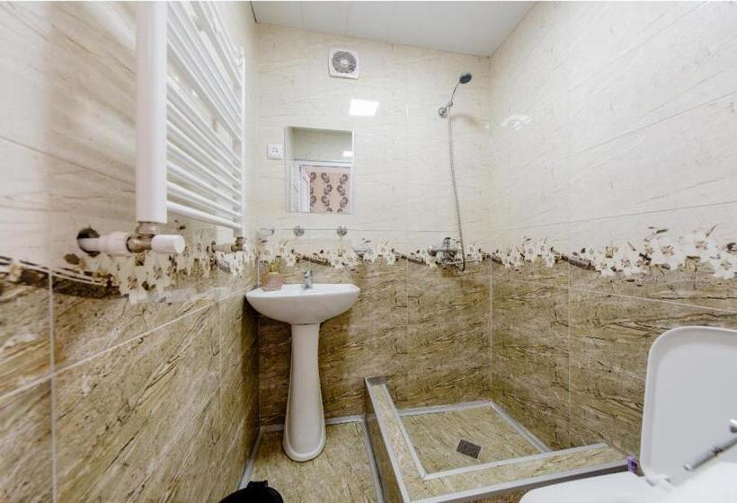 پانسیون Cozy Hotel Kazbegi