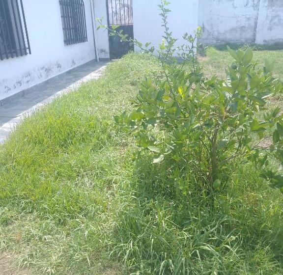 ペンション Hostel Alto Alberdi