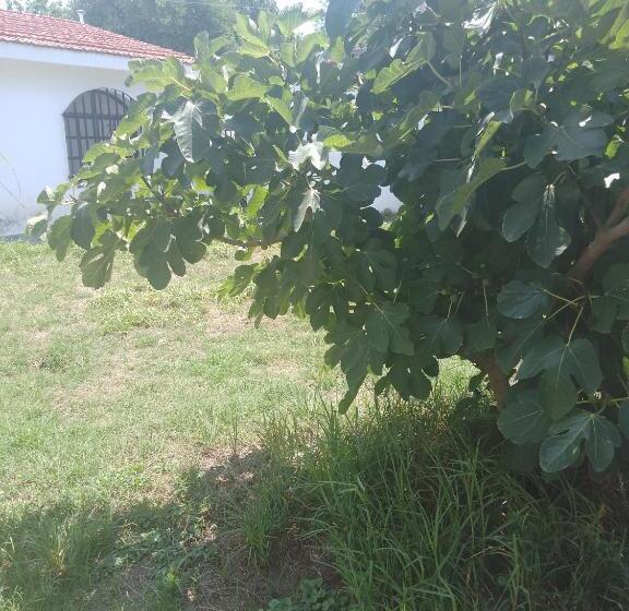 ペンション Hostel Alto Alberdi