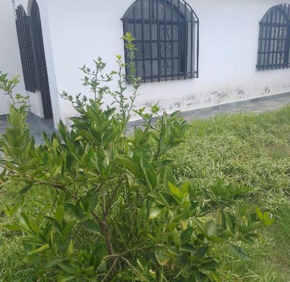 ペンション Hostel Alto Alberdi