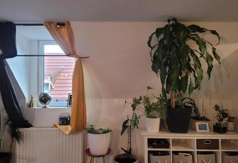 بنسيون Splend Or,10 Pers,luxueux