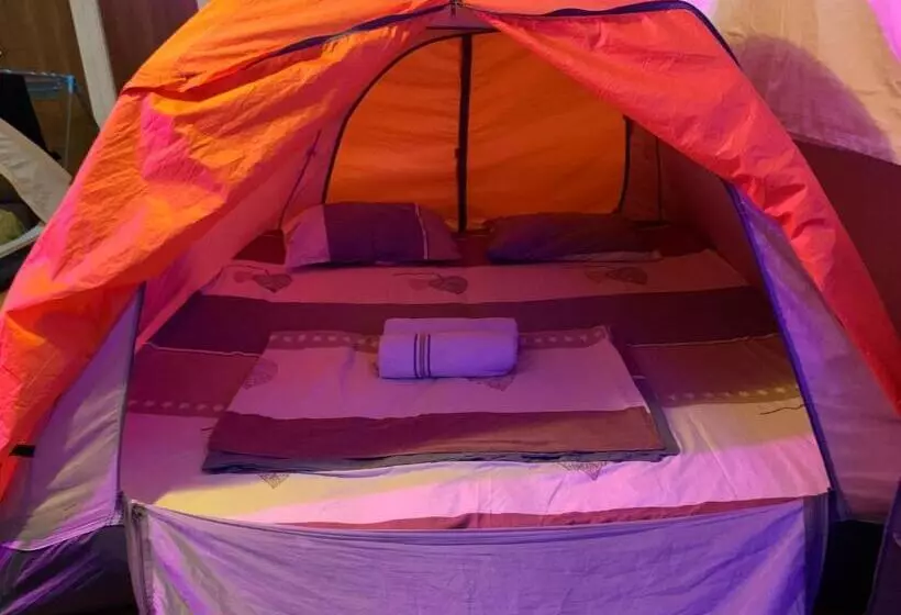 پانسیون Tents In Georgia