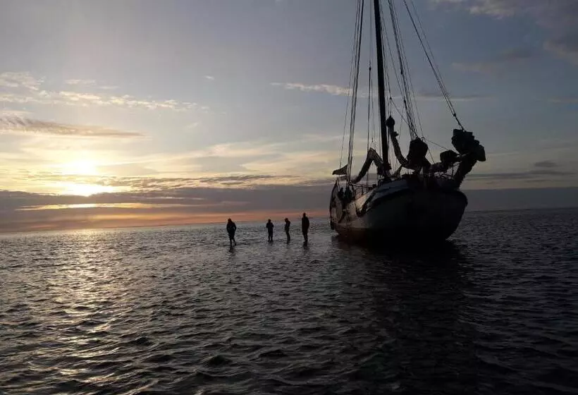 ペンション Tjalkjacht Pelikaan Lemmer