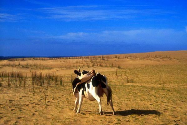 Общежитие Alojamiento Corazon De Ballena