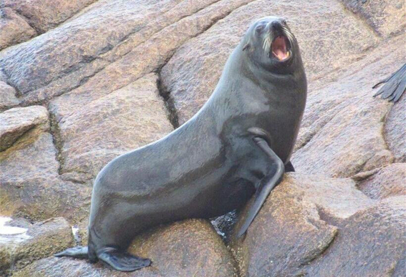 Общежитие Alojamiento Corazon De Ballena