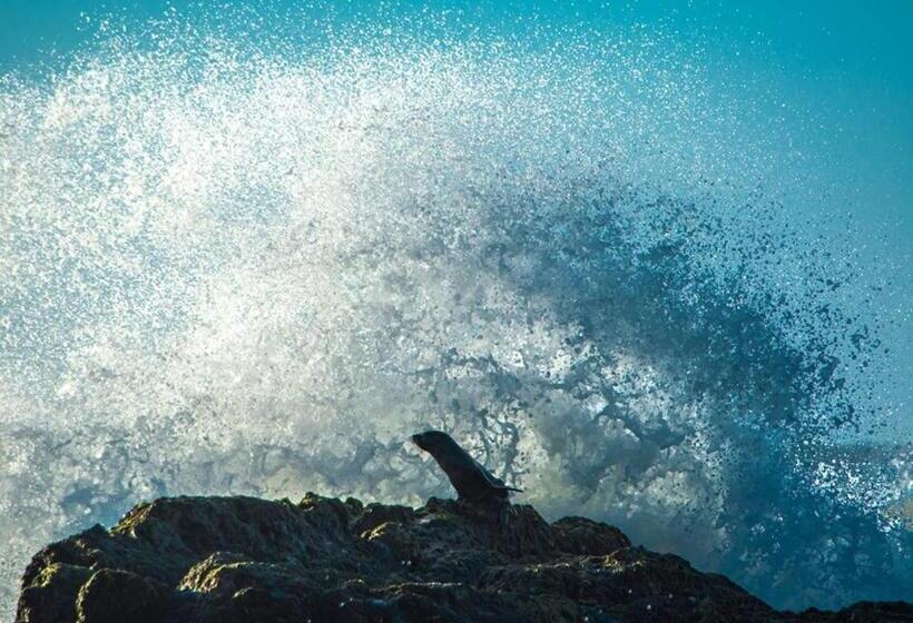 Общежитие Alojamiento Corazon De Ballena